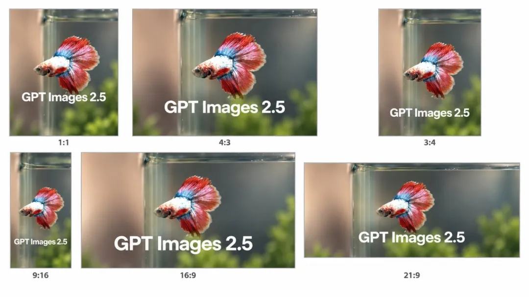Six cover-image layouts demonstrating square, portrait, landscape, and ultrawide compositions